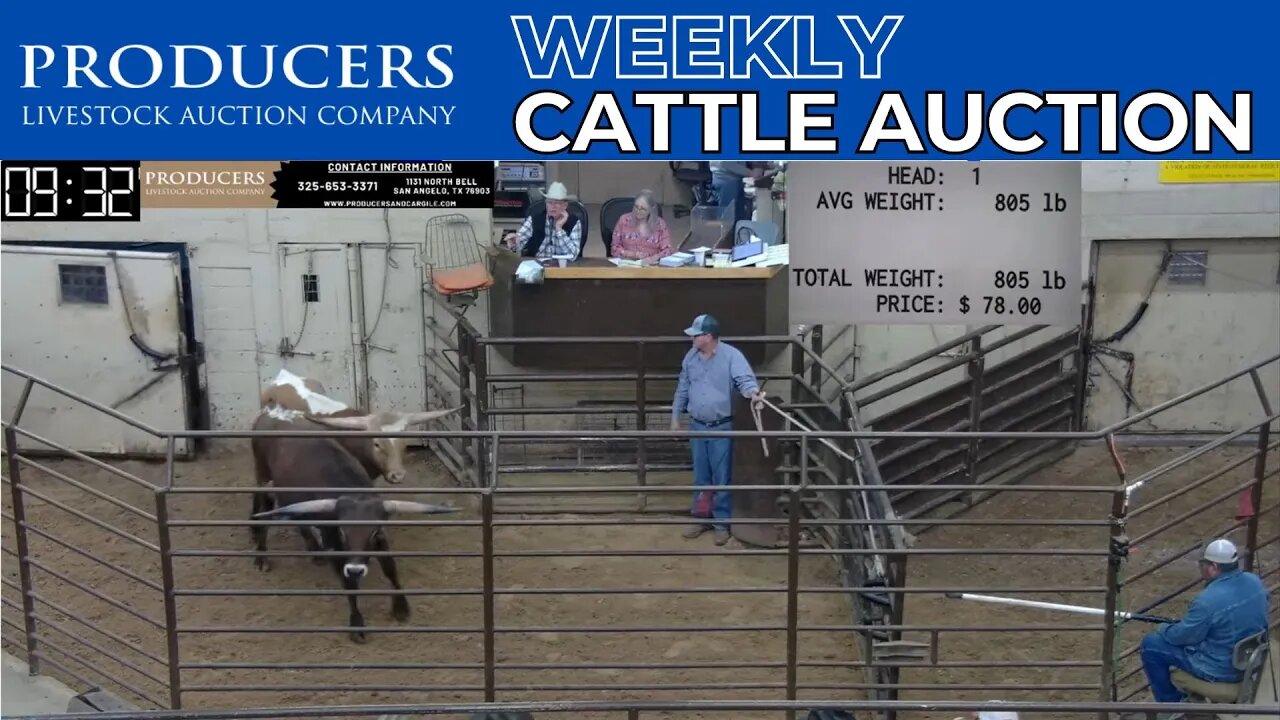 4/6/2023 - Producers Livestock Auction Company Cattle Auction