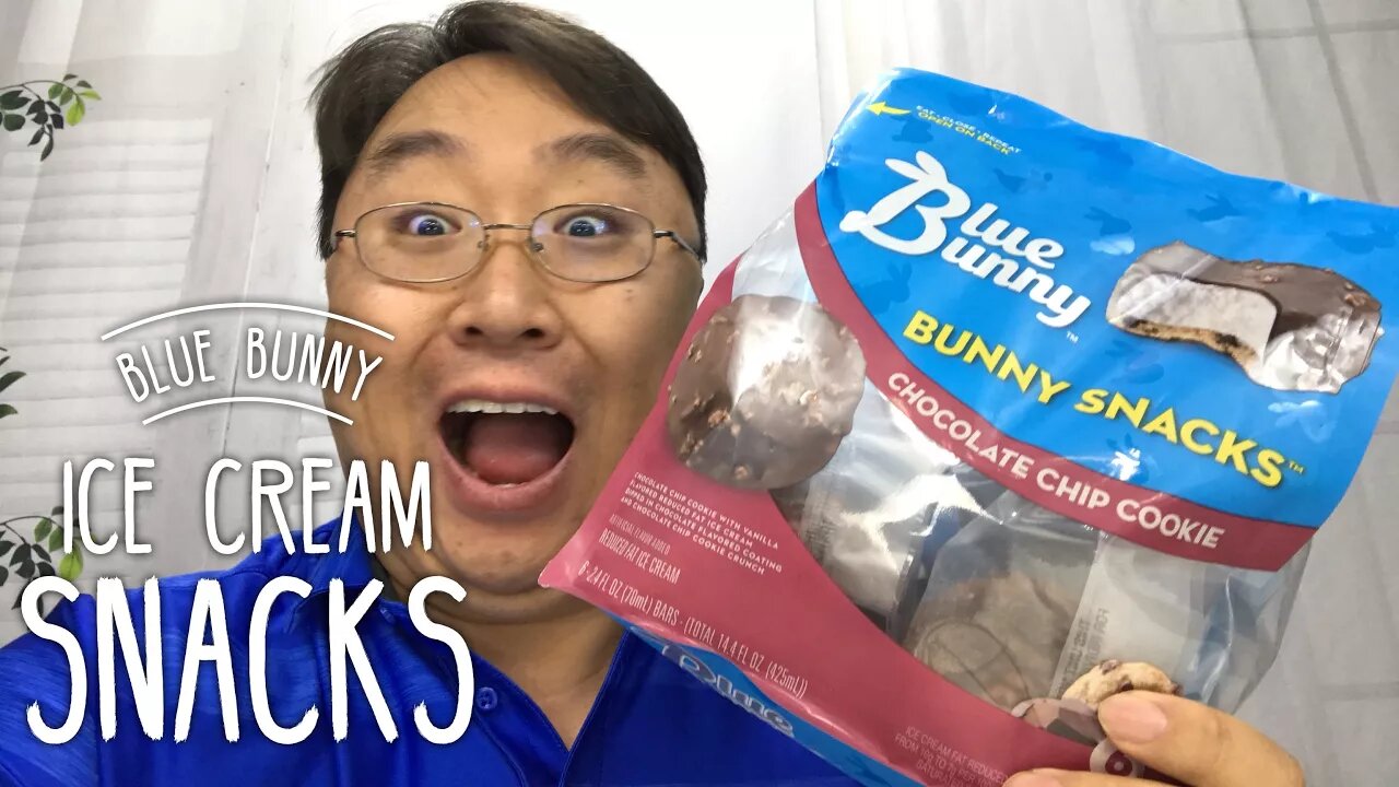 Blue Bunny Chocolate Chip Cookie Bunny Snacks Ice Cream Cookies Review