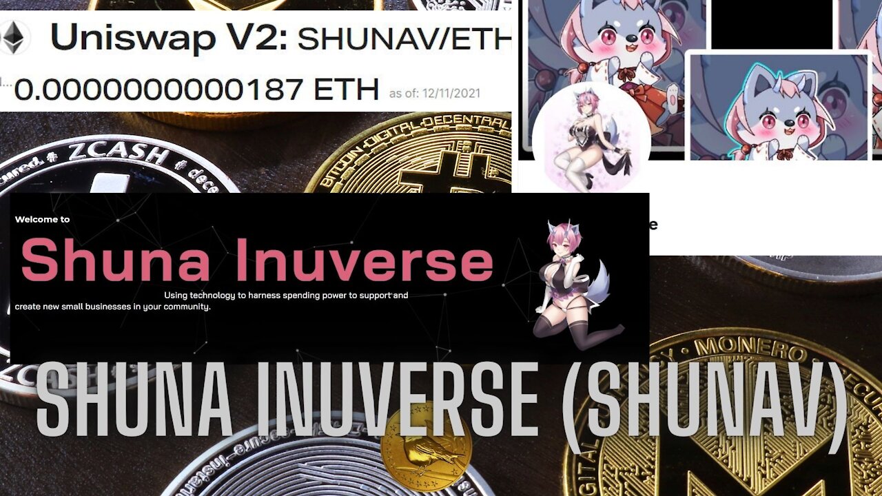 Uniswap V2: Shuna Inuverse SHUNAV/ETH SHUNAV new token, current value 0.0000000000187 #CryptoNews
