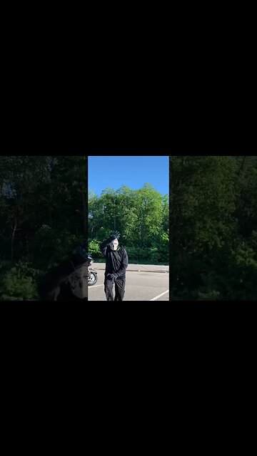 Baji 5 strikes per stance