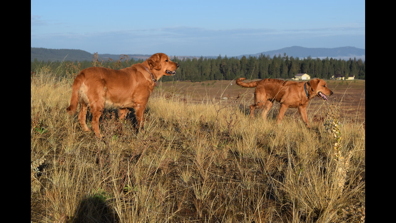 SUNDAY MORNING W / THUMPER & ROGER DECEMBER 4th 2022