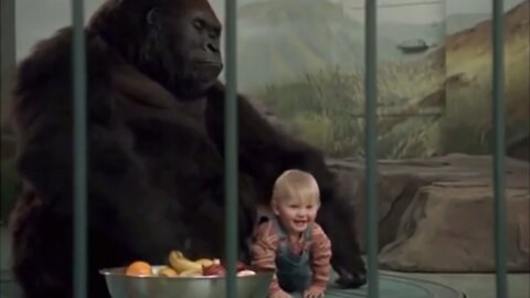 Baby's Day Out with Gorilla | Comedy Movies | Comedy Film | Comedy Video