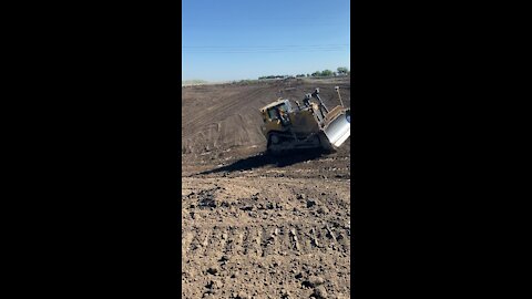 Want a pond?… Then dig a pond.