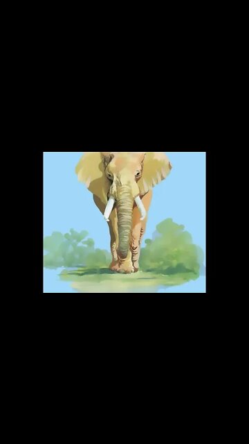 Тактический СЛОН Ⓜ #shorts #marmok #moki #мармок @MrMarmok