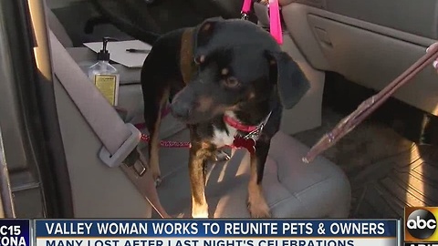 Woman spend New Yearâs Eve, New Yearâs Day searching for lost pups