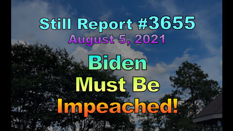 Biden Must Be Impeached, 3655