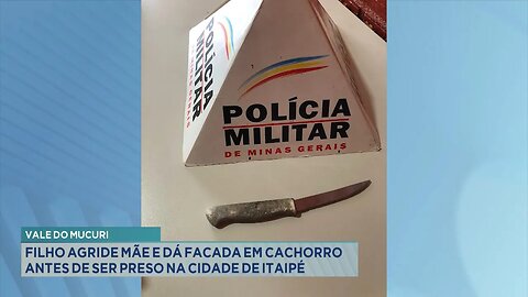 Vale do Mucuri: Filho Agride Mãe e dá Facada em Cachorro antes de Ser Preso na Cidade de Itaipé.