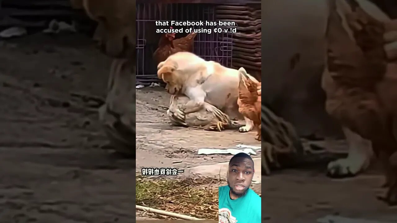 Funny Truth Video #funnyvideo #tiktok