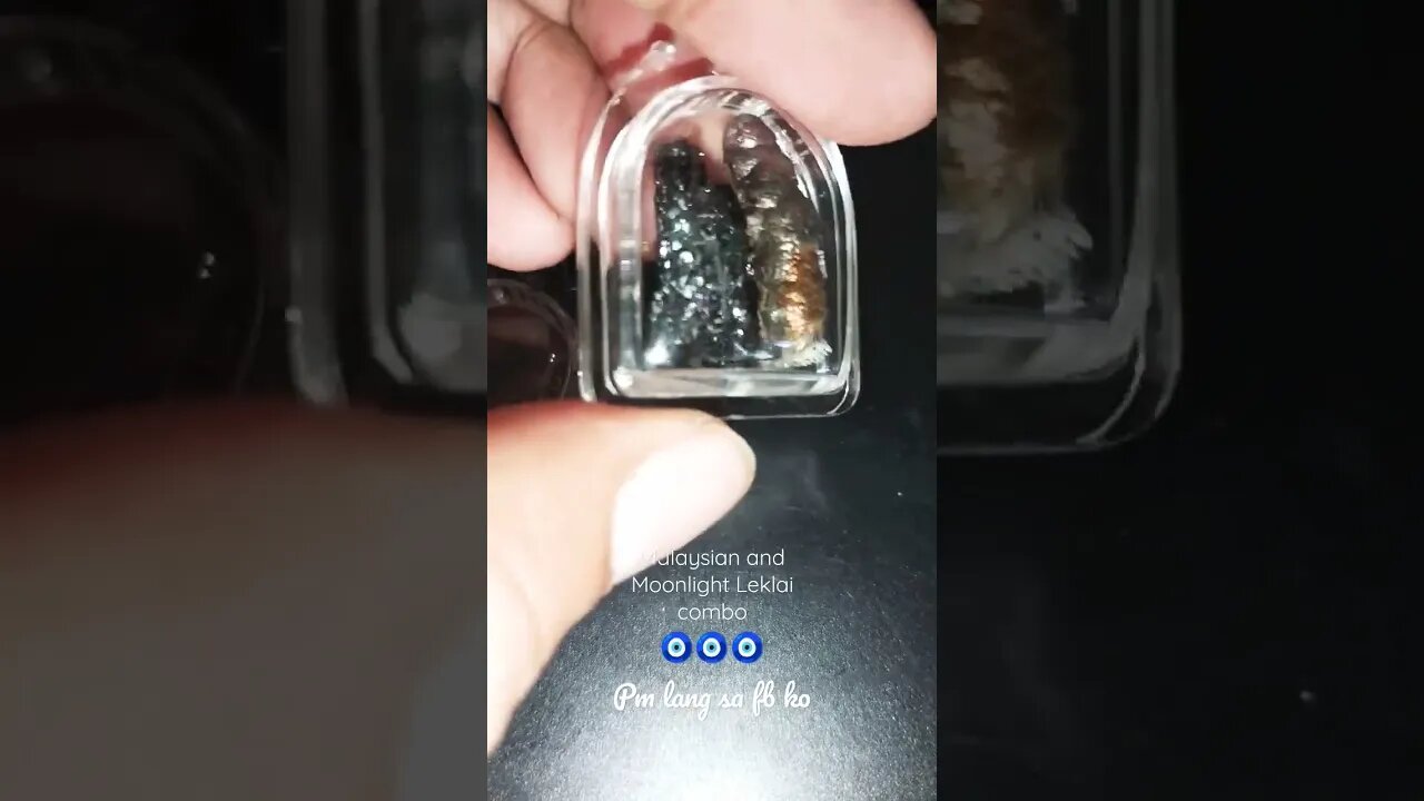 Leklai Combo