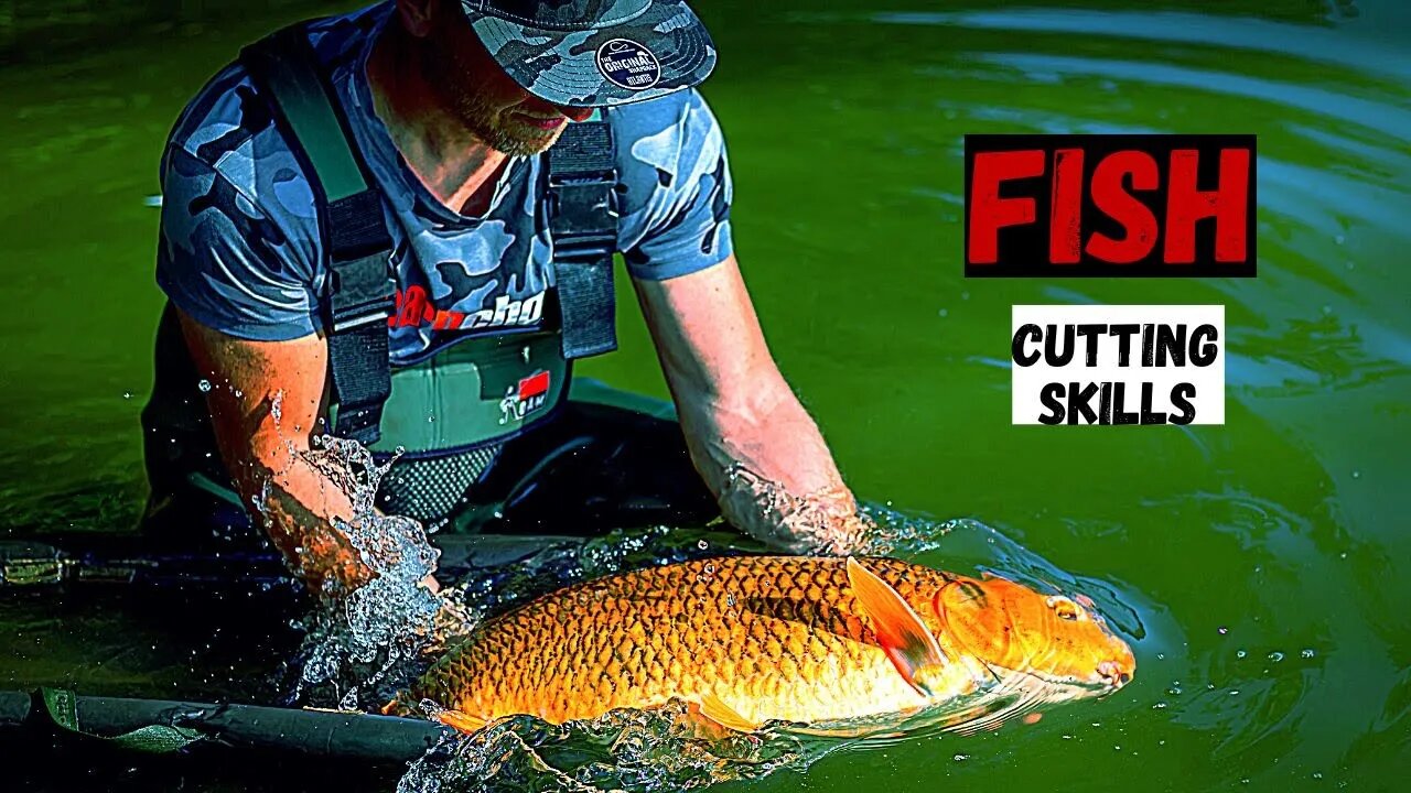 Fish Video | Big Net Fishing | 1.5 Tons Big Fish Never Seen!!! Big Carp Fish Cutting Fish Market