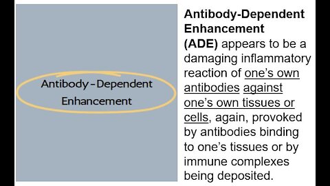 935 - COVID VAXX & ANTIBODY DEPENDENT ENHANCEMENT ADE