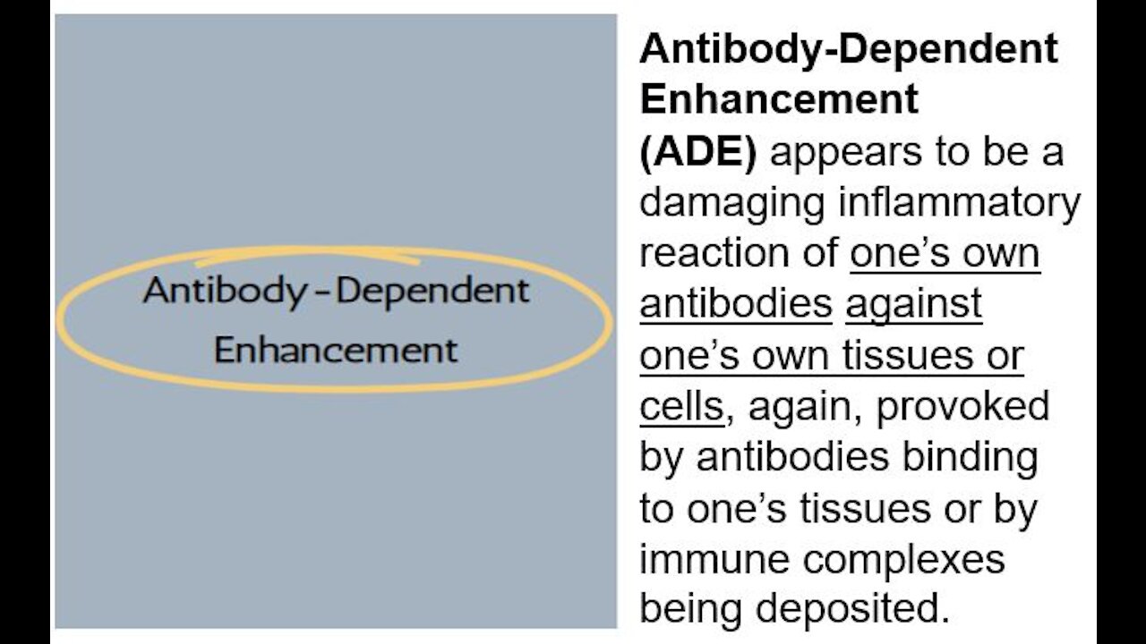 935 - COVID VAXX & ANTIBODY DEPENDENT ENHANCEMENT ADE