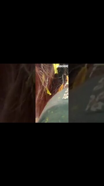 #Short |Ram Kadam यांच्या निवासस्थानाबाहेर रंगपंचमी | holi |Rangpanchami |Colors | Sarkarnama