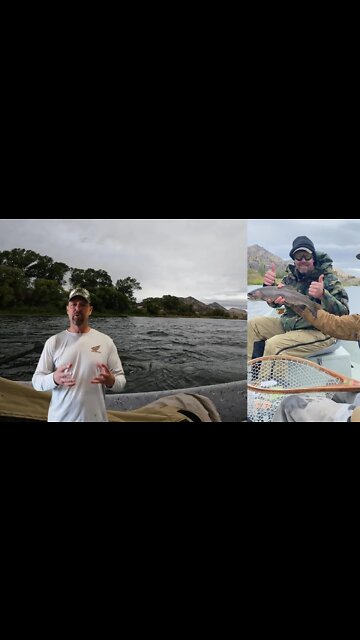 #shorts Once in a lifetime! 18" rainbow trout in Montana! FULL video will be posted within the hour!