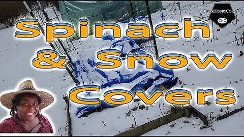 Spinach & Snow Cover Update