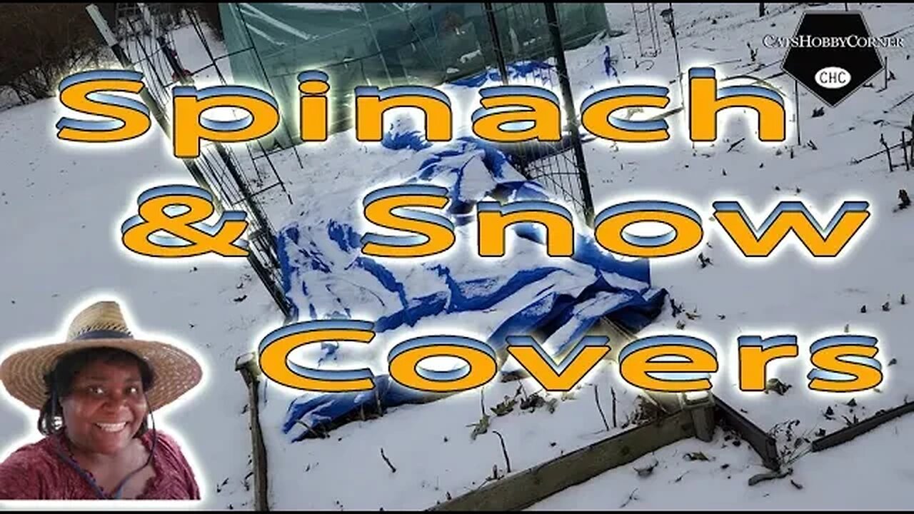 Spinach & Snow Cover Update