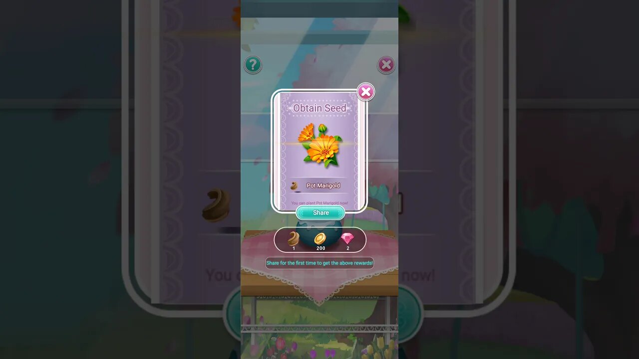 POT MARIGOLD AT FLOWERS ISLAND