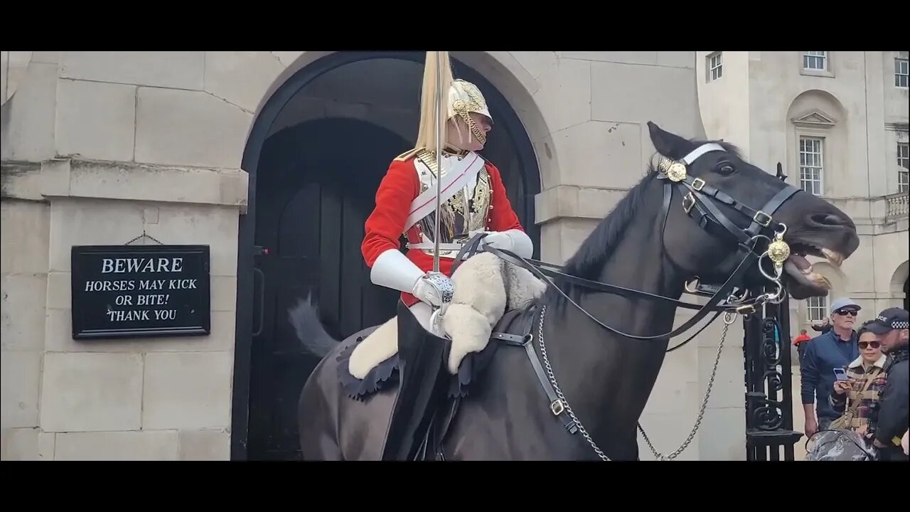 LET GO OF THE BIT SLOW-MOTION #horseguardsparade