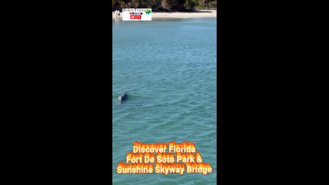 Things to Do in Florida & Discover Florida