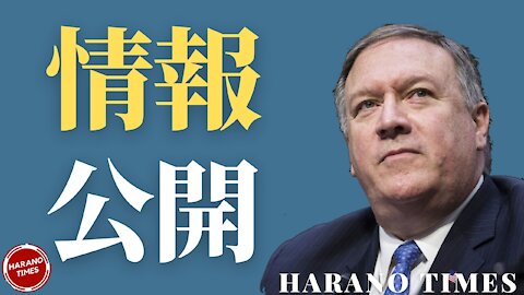 ポンペオが公開したびょうきの話、トランプ大統領の最近のスケジュール、最近流れている話について、アンケートのご協力ありがとうございます。 Harano Times