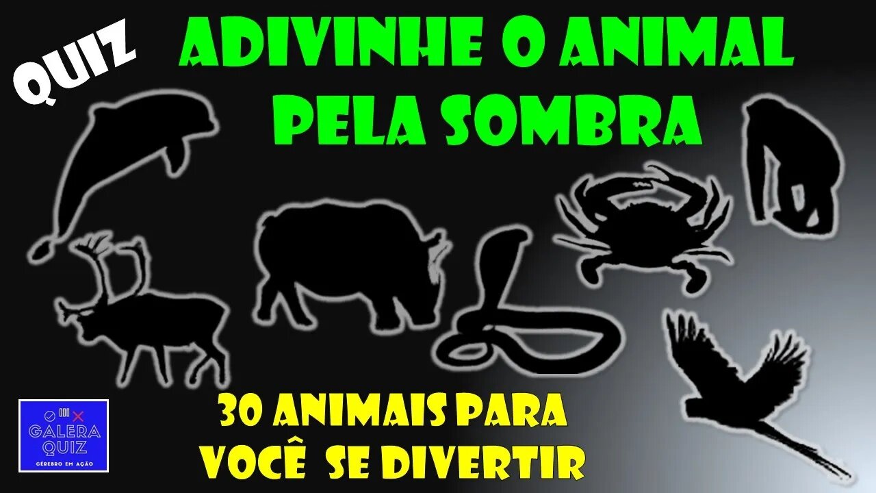 ADIVINHE O ANIMAL PELA SOMBRA | [Galera Quiz]