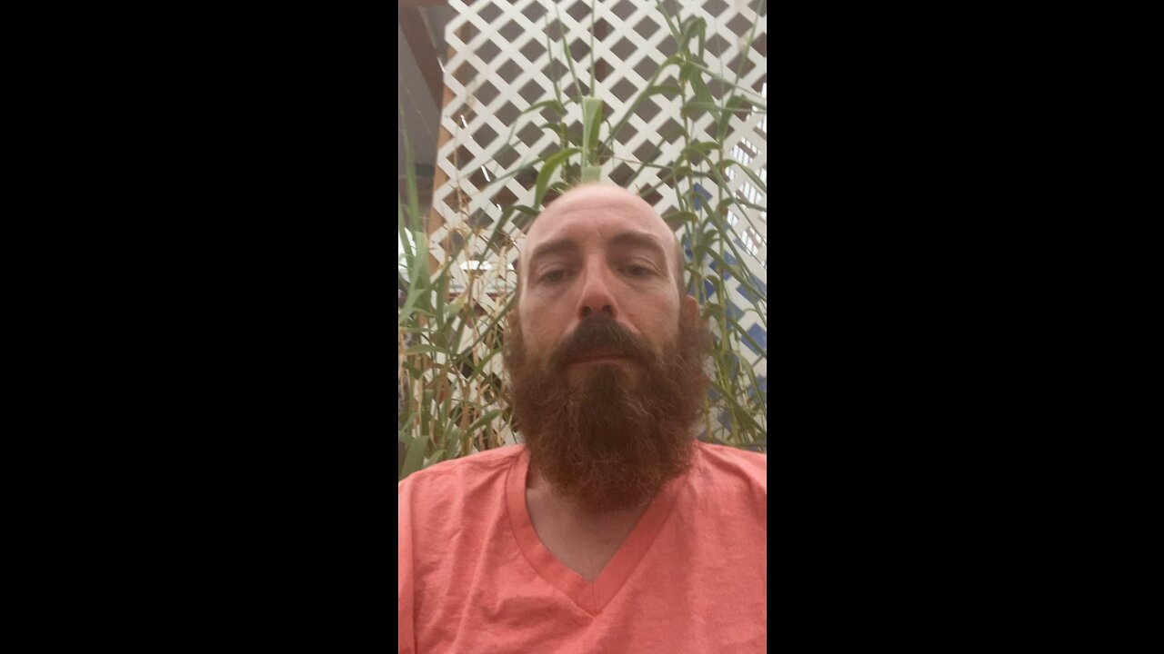 Intro