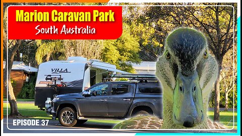 Marion caravan park