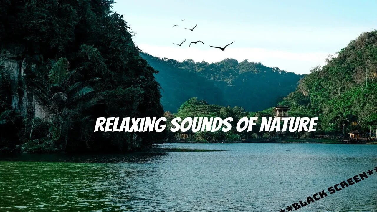 6 Hours - Relaxing Sounds of Nature - **Black Screen**