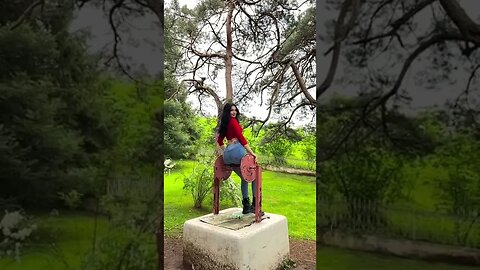 Tiktok Videos | Tavernoftinst | #fyp #short #tiktok #tiktokdance