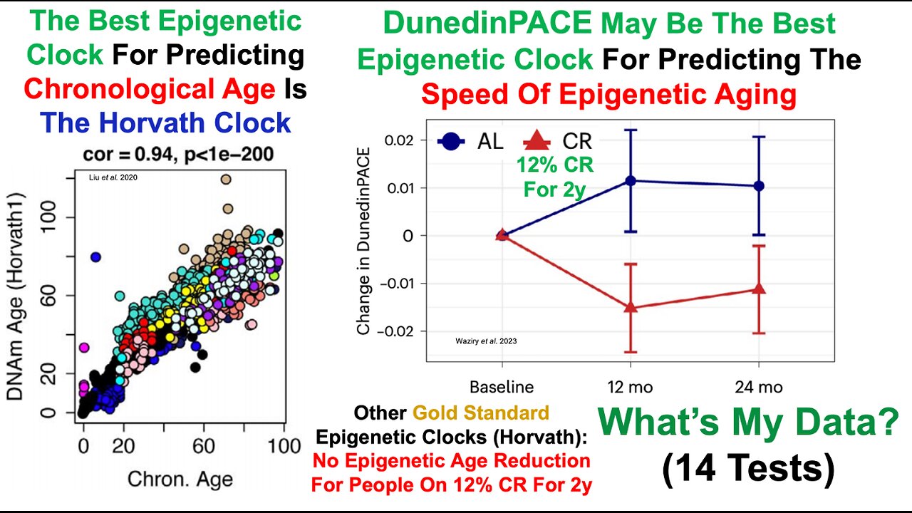 Resisting An Increased Epigenetic Speed Of Aging (14-Test Results)