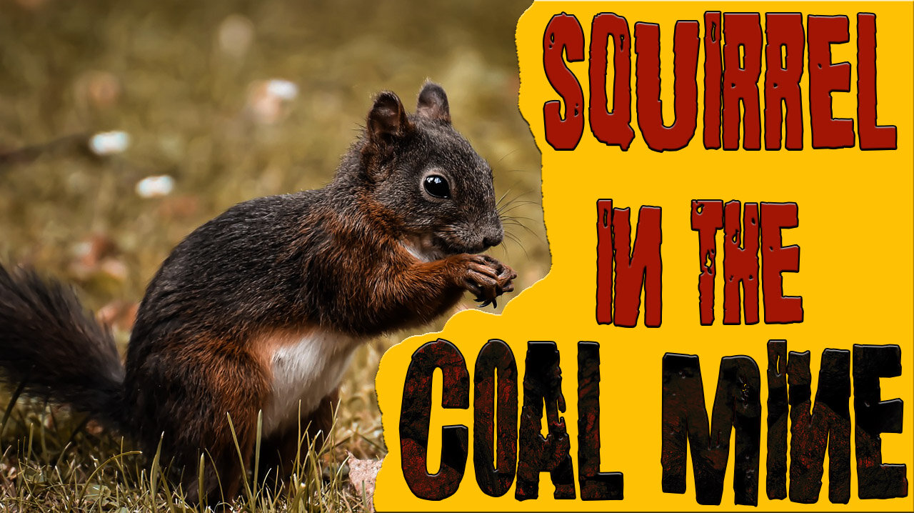 AA_IB_424_Squirrel_in_the_Coal_Mine