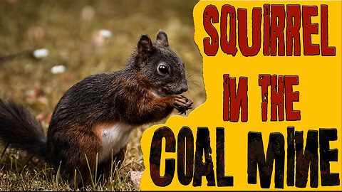 AA_IB_424_Squirrel_in_the_Coal_Mine