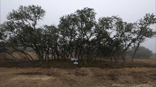 Lot for sale as of 3 Feb 2022, Belle Oaks Community, Bulverde Tx