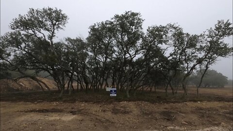 Lot for sale as of 3 Feb 2022, Belle Oaks Community, Bulverde Tx
