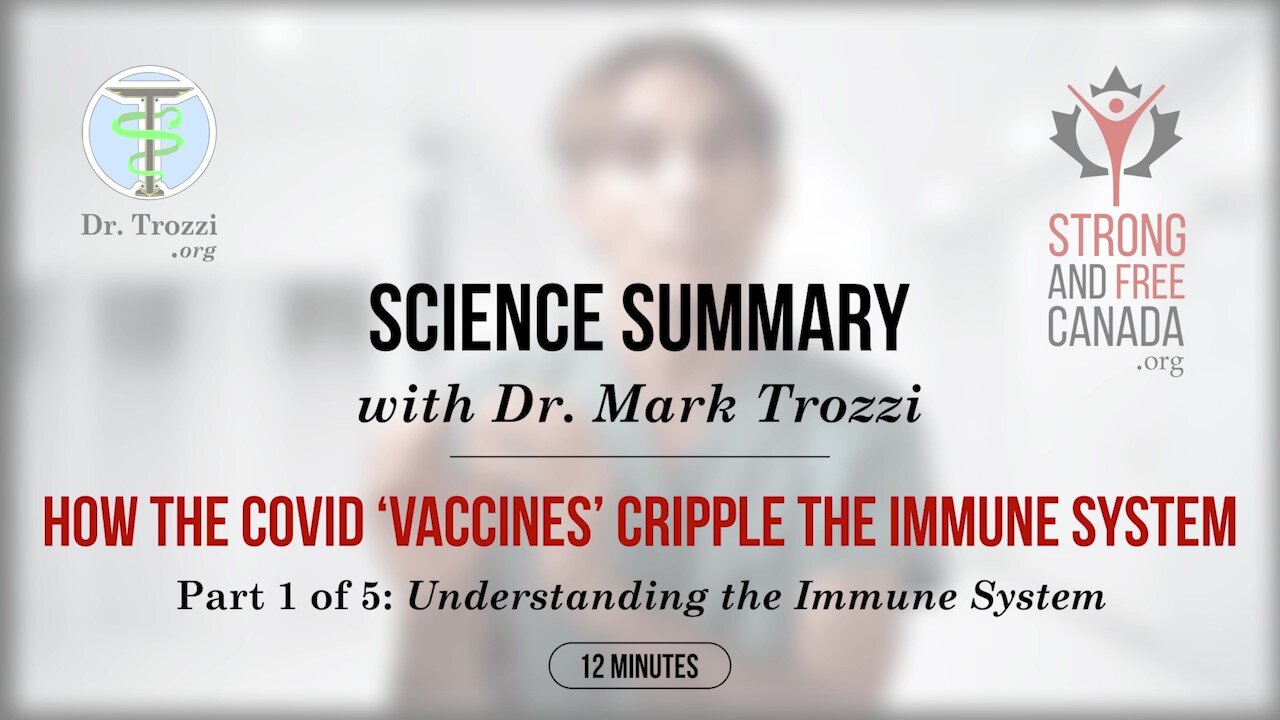 How the Covid Vaccines Cripple the Immune System | Part 1 of 5: Understanding the Immune System