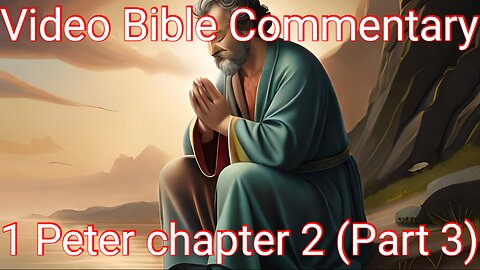 1 Peter Chapter 2 commentary (Part 3)