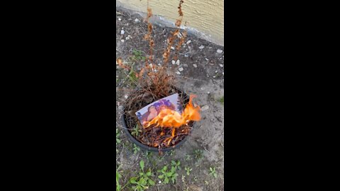 Thus is how I deal with real life witches