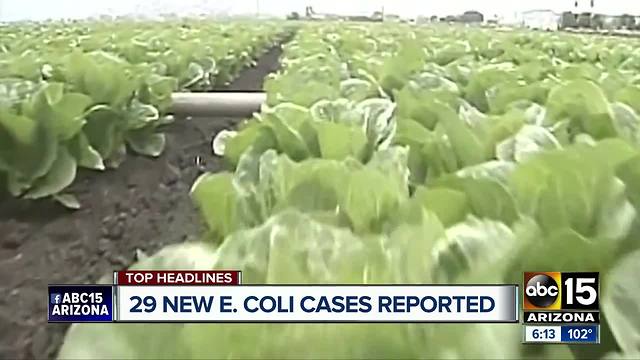 29 new cases of E. coli reported across the country, stemming from Yuma romaine lettuce