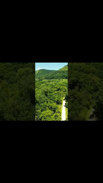 Beethoven - 9th Symphony Finale - Subscribe For More #shorts #beethoven9th #beethovensymphony