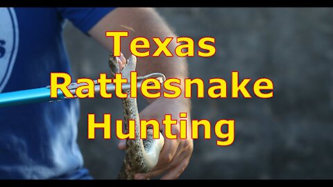 Texas Snake Hunting 2018