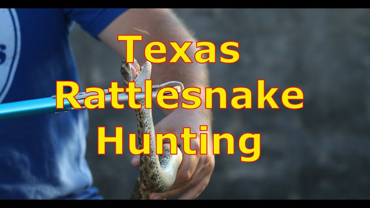 Texas Snake Hunting 2018