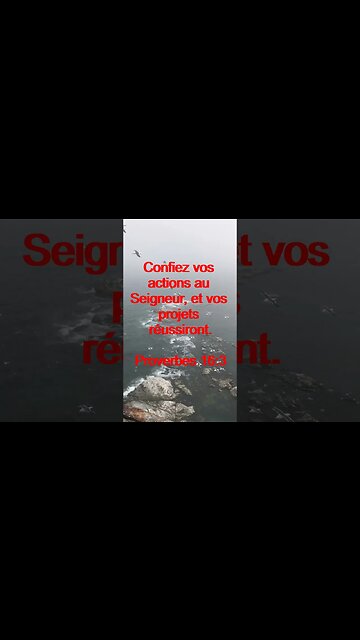 Verset Du Jour | Lecture Inspirante Pour Commencer La Journée. | 43