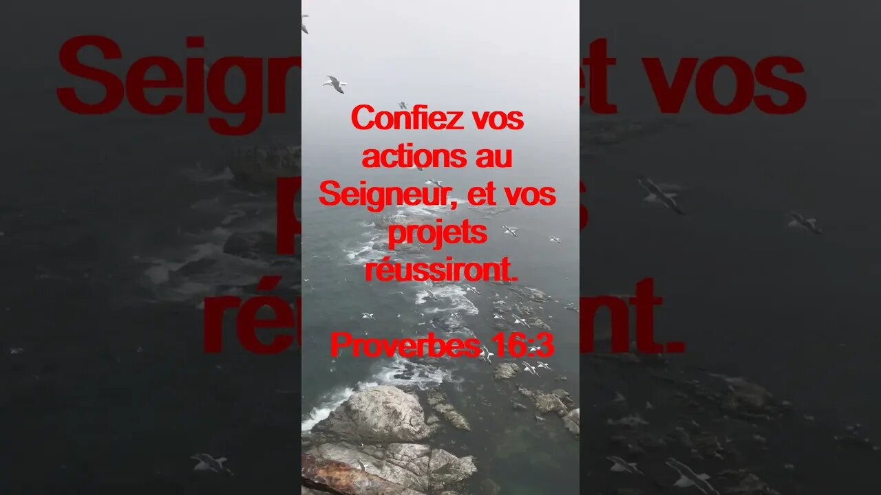 Verset Du Jour | Lecture Inspirante Pour Commencer La Journée. | 43