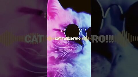 🔴🔴🔴🔴CAT TO ELECTRO!!!🔴🔴🔴