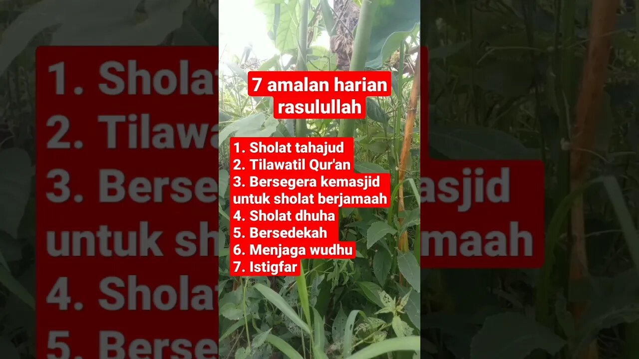 inilah 7 Amalan harian Rasulullah #shorts #Rasulullah #dakwah