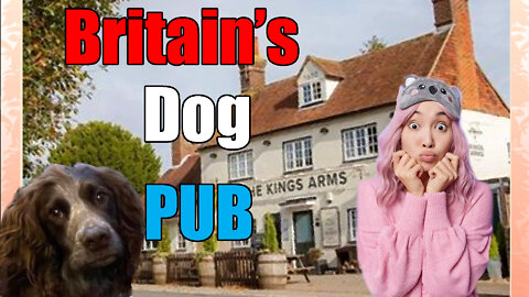 Britain Opens Dog🐕 Pub🍻🍺