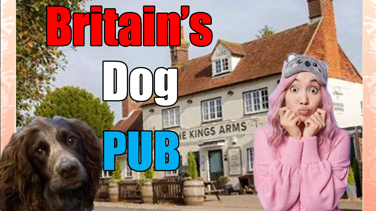 Britain Opens Dog🐕 Pub🍻🍺