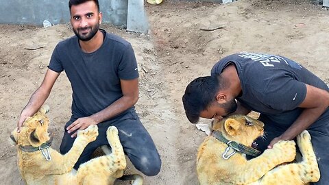 Shehr Main Dihat | Dare Completed😍 Lion Ko Kiss kr Dia😂