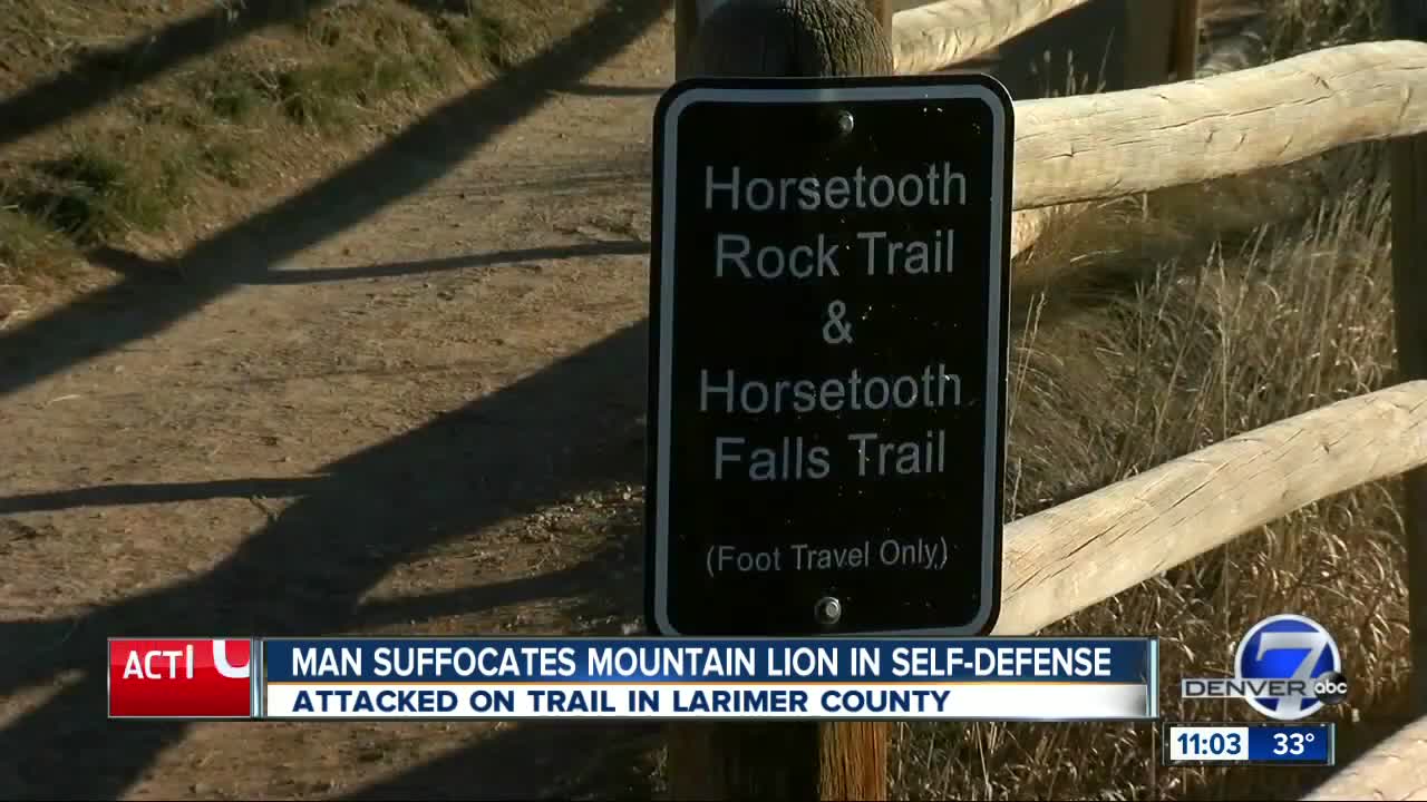 Horsetooth Mountain trail runner suffocates, kills mountain lion in self defense