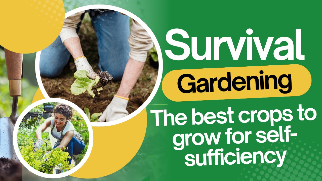 Survival Gardening: The best crops to grow for self-sufficiency